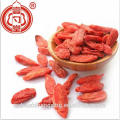 Super Berry Sun Dry Baies de Goji Fruits rouges